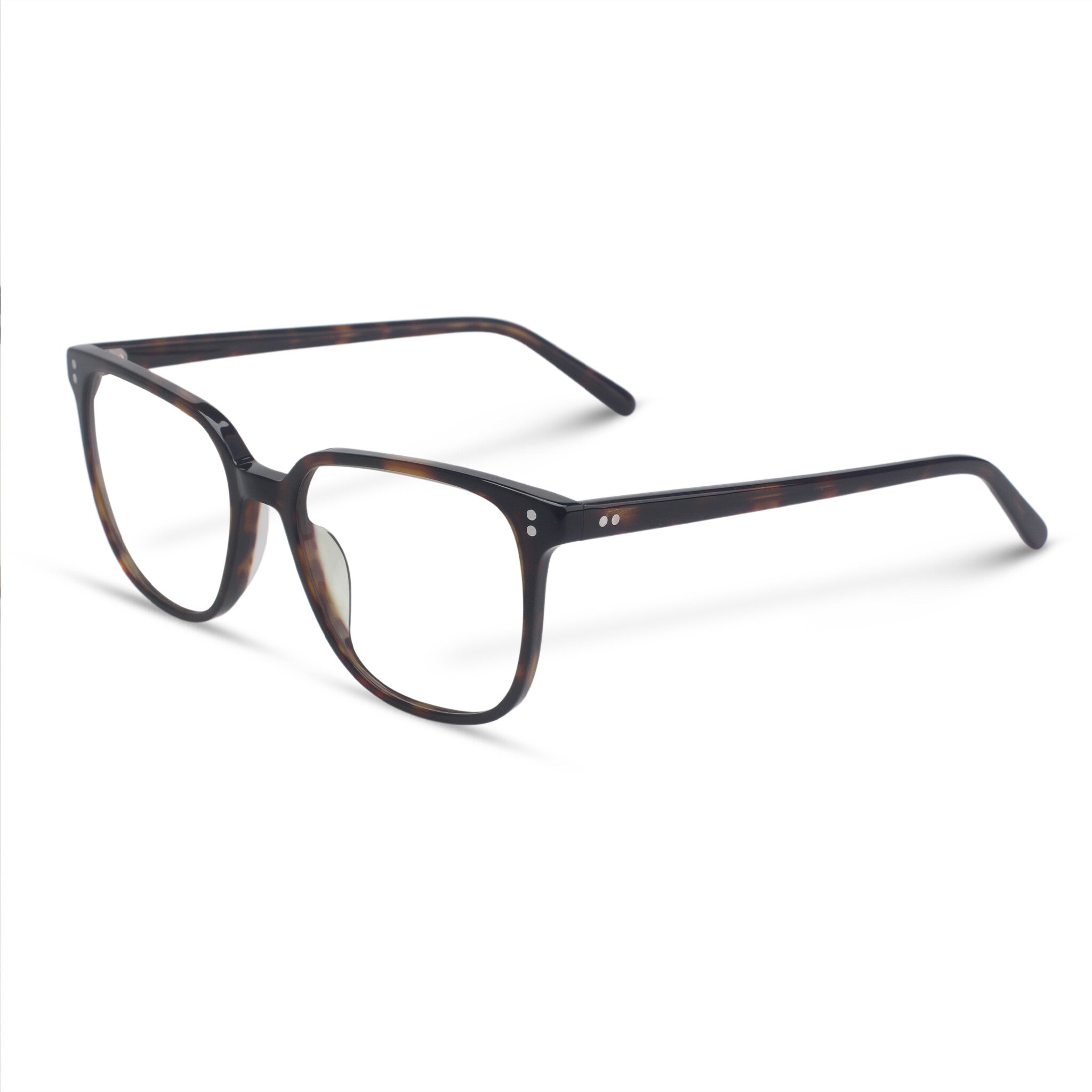 brown tortoise plastic eyeglasses