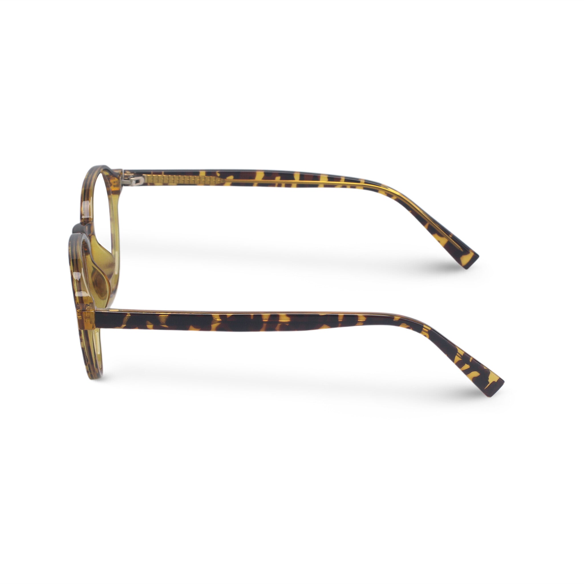 Round acetate tortoise eyeglasses