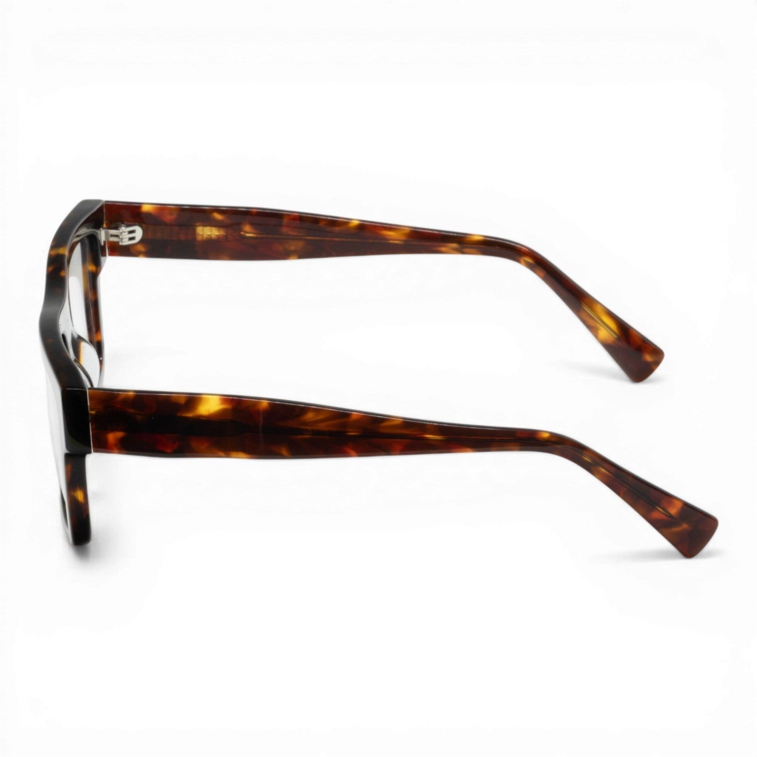 recatnagle tortoise glasses